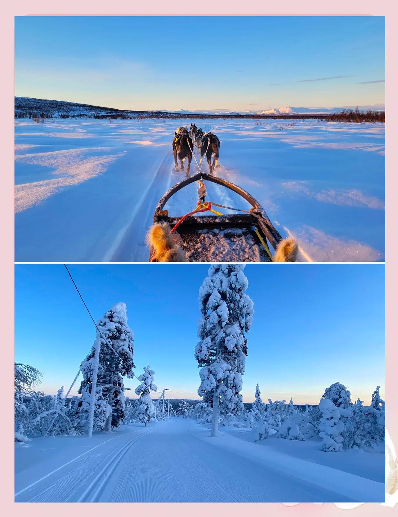 九游体育在线登录-芬兰代表团在冬季运动项目中崭露头角