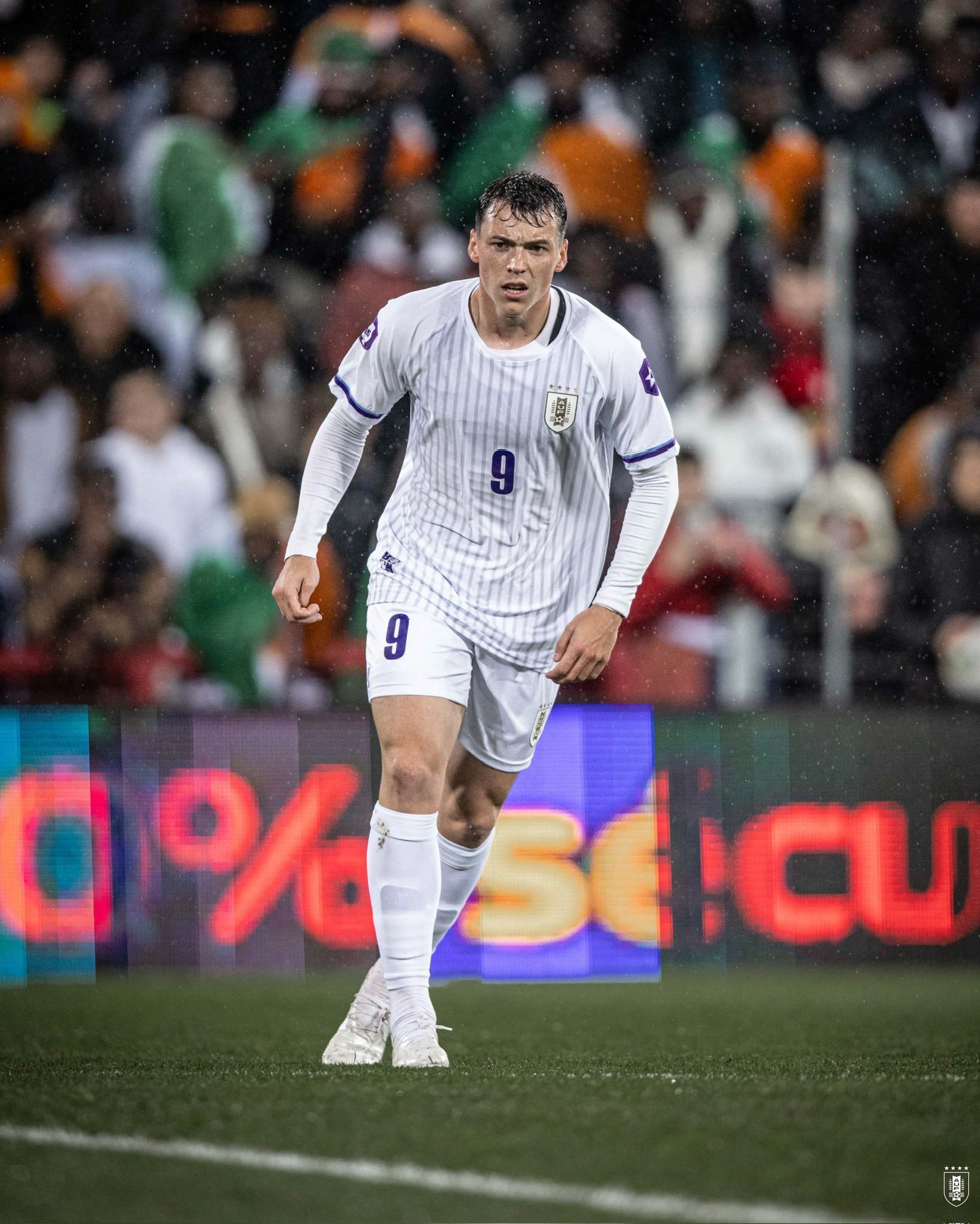 玻利维亚球星在南美比赛中大放异彩 玻利维亚球星在南美比赛中大放异彩